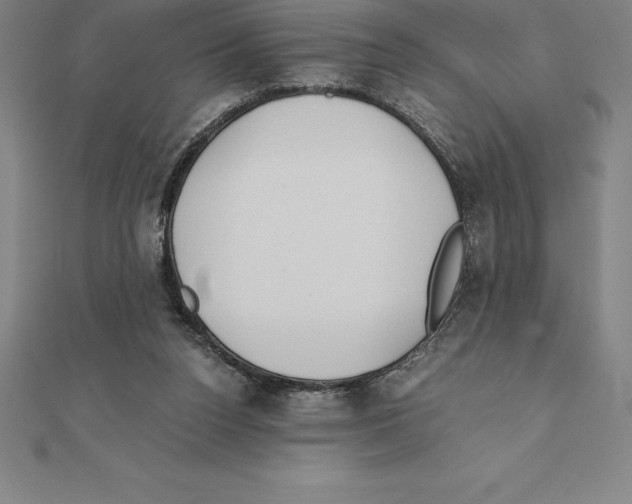 X0000110320160200906181830