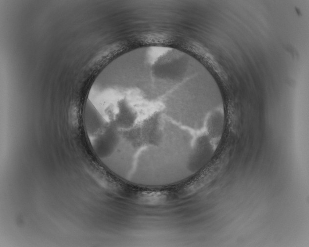 X0000110320161200906181830