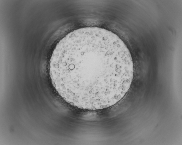 X0000110320162200906181830