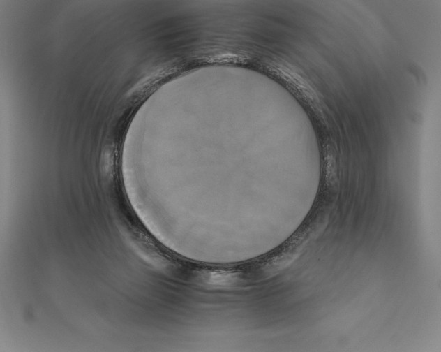 X0000110320165200906181830