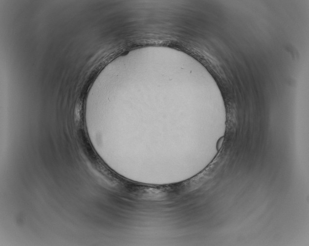 X0000110320166200906181830