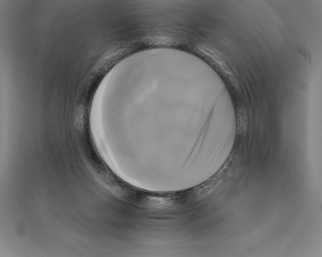 X0000110320167200906181830