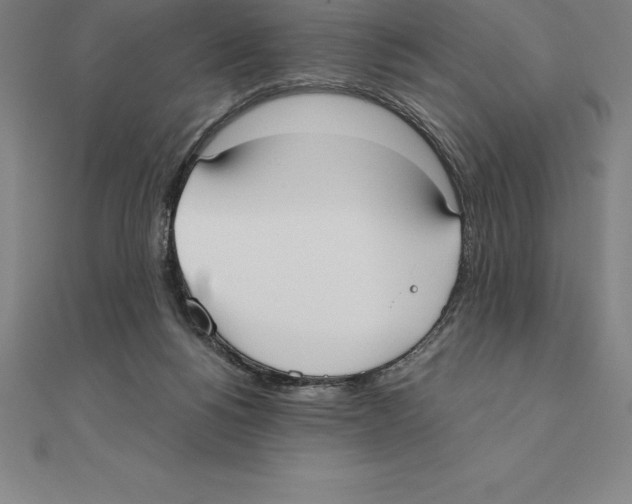 X0000110320168200906181830