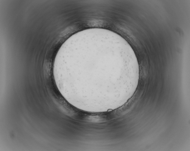 X0000110320171200906181830