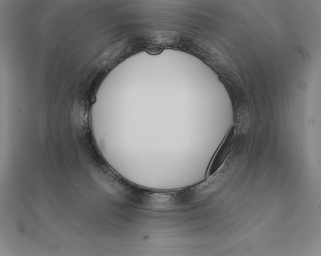 X0000110320176200906181830