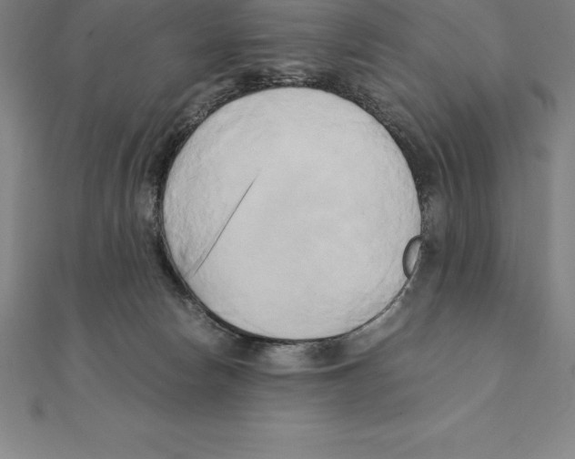 X0000110320178200906181830