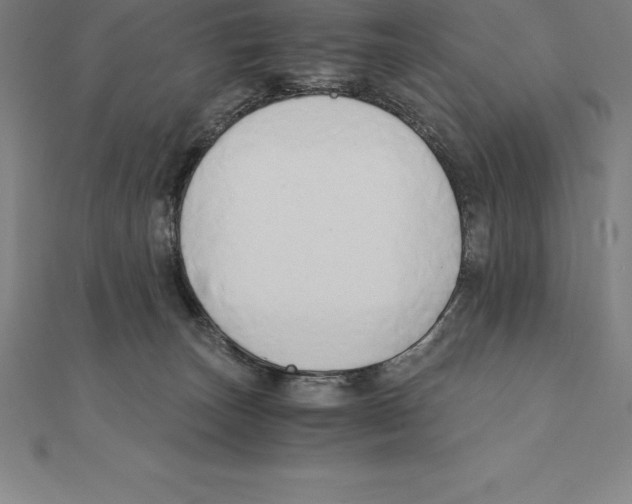 X0000110320179200906181830