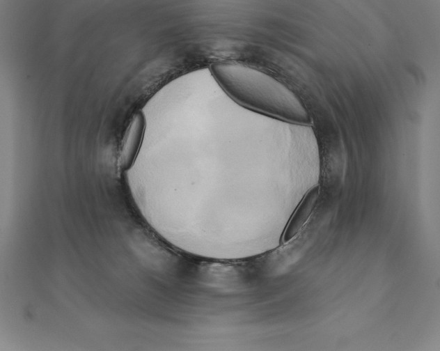 X0000110320180200906181830