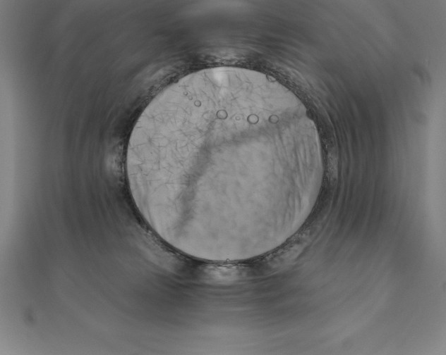 X0000110320181200906181831