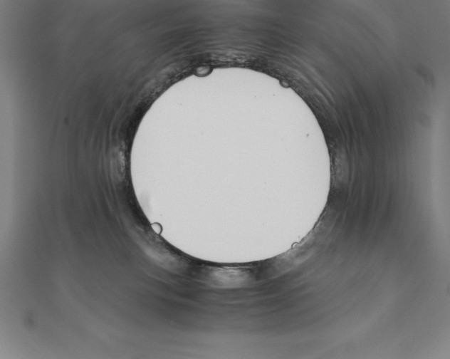 X0000110320183200906181831