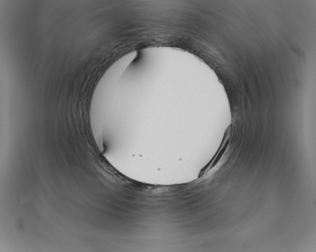 X0000110320186200906181831