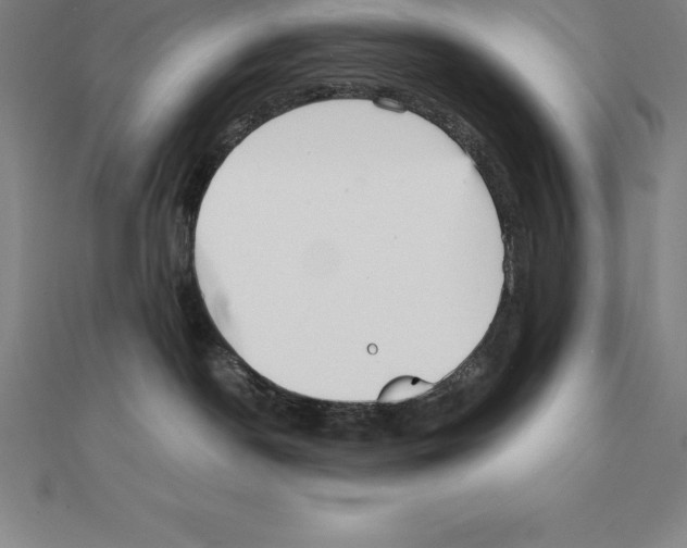 X0000110320190200906181831