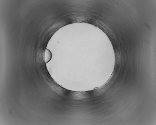 X0000110320191200906181831