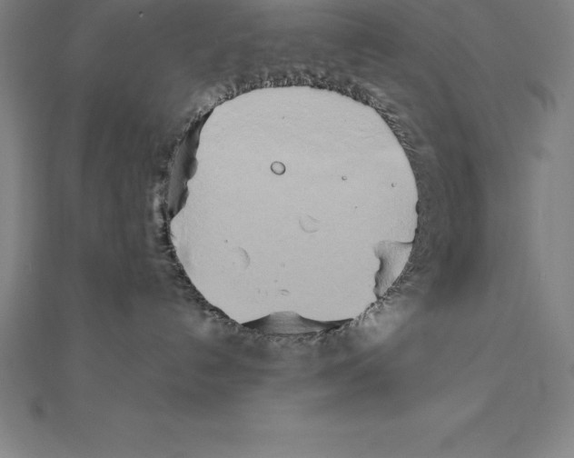 X0000110320192200906181831