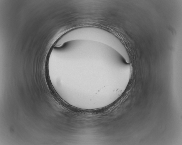 X0000110320195200906181830