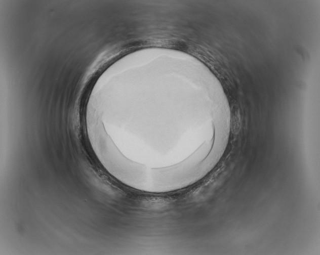 X0000110320198200906181830