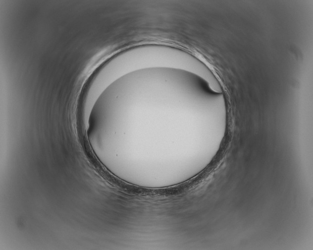 X0000110320199200906181830