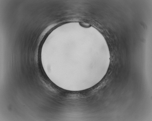 X0000110320200200906181830