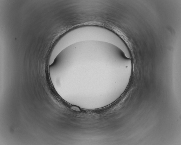 X0000110320201200906181830