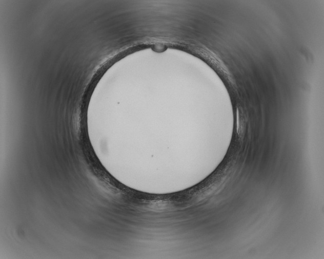 X0000110320204200906181830