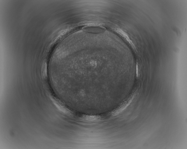 X0000110320205200906181830