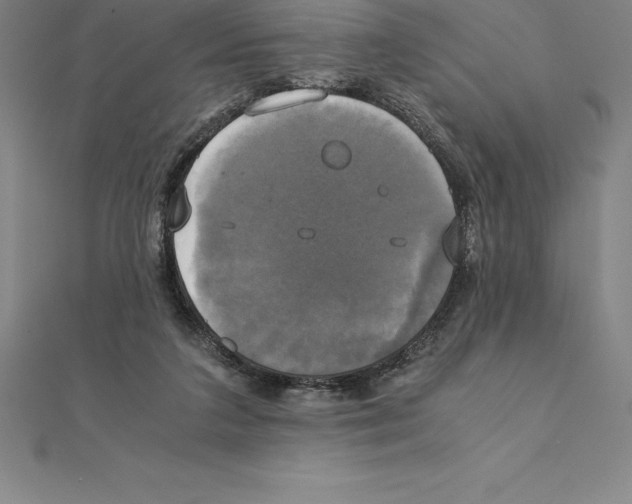 X0000110320211200906181830