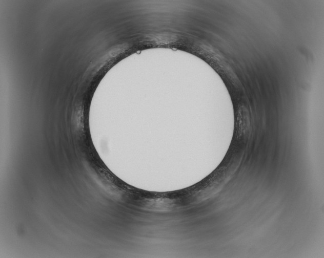 X0000110320212200906181830