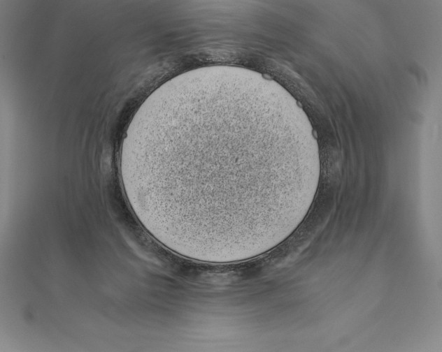 X0000110320213200906181830