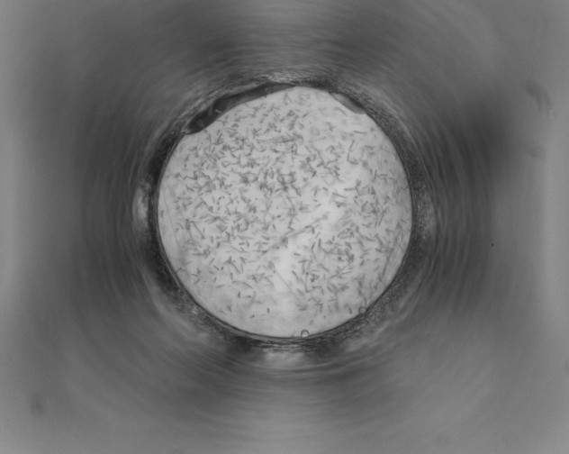 X0000110320214200906181830