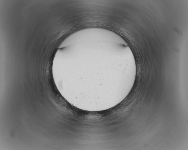 X0000110320215200906181830