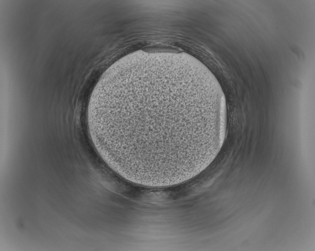 X0000110320217200906181830