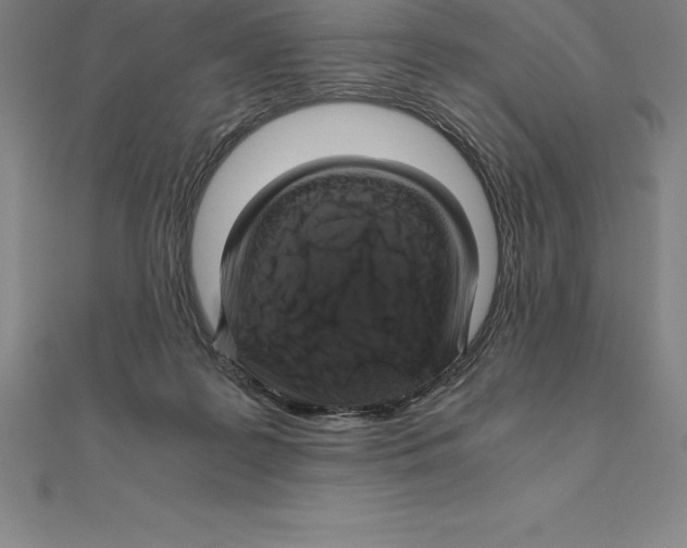 X0000110320219200906181830