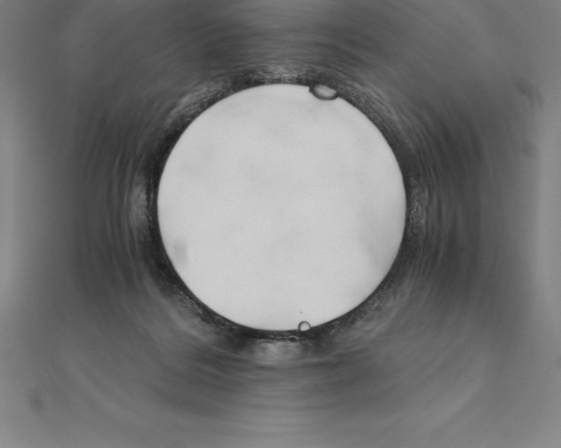 X0000110320220200906181830