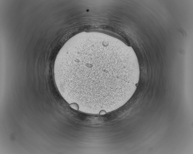 X0000110320221200906181830