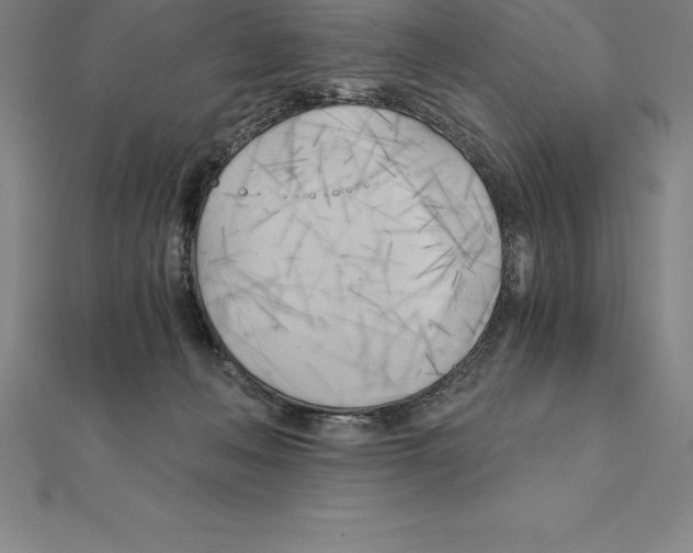 X0000110320222200906181830