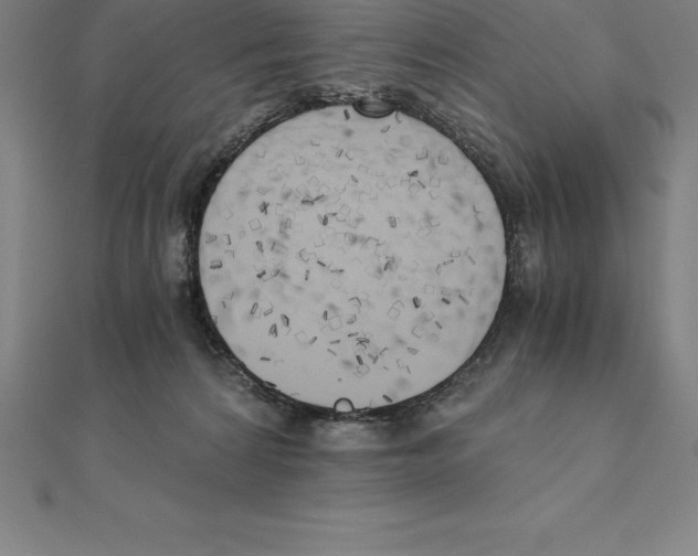 X0000110320224200906181830