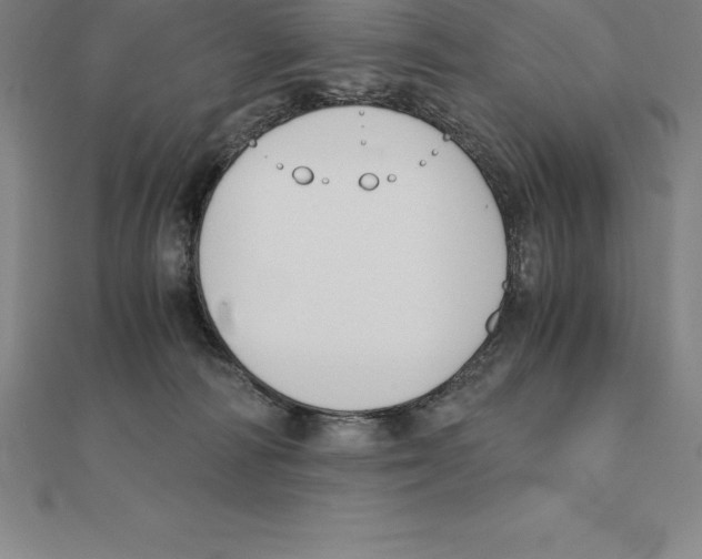 X0000110320226200906181830