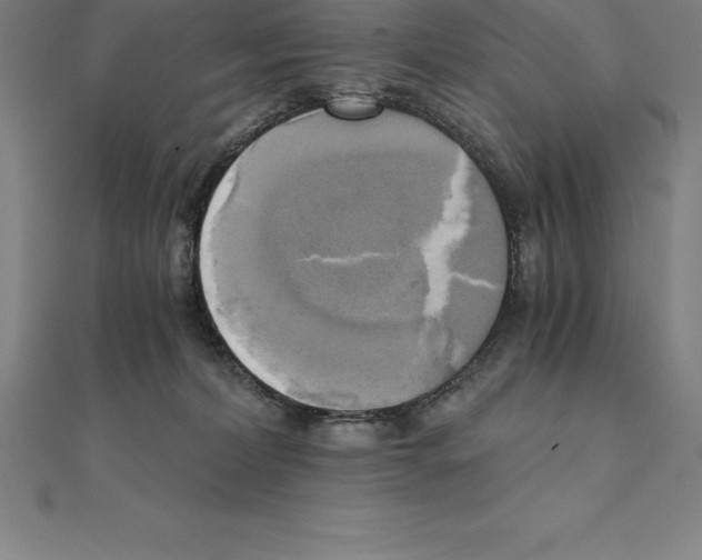 X0000110320228200906181830