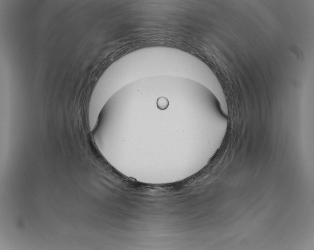 X0000110320229200906181830