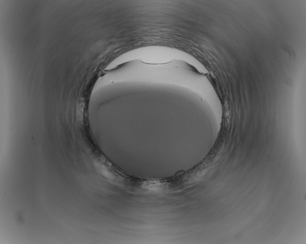 X0000110320231200906181830