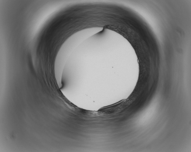 X0000110320239200906181829