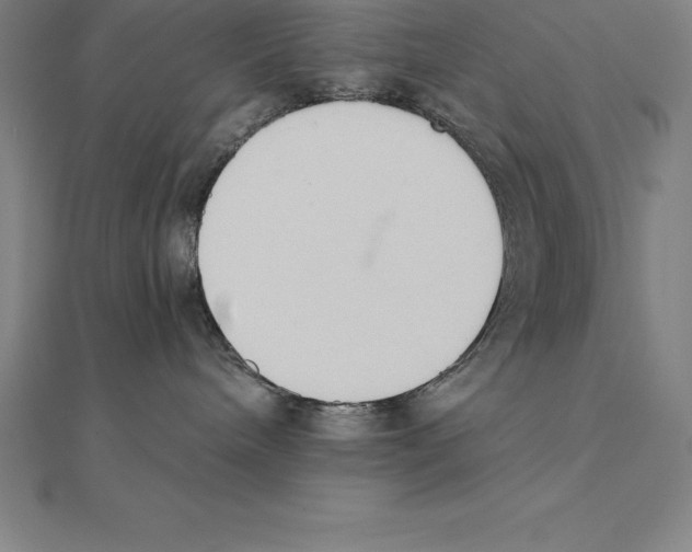 X0000110320240200906181829