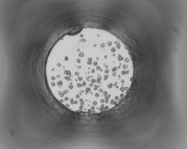 X0000110320241200906181829