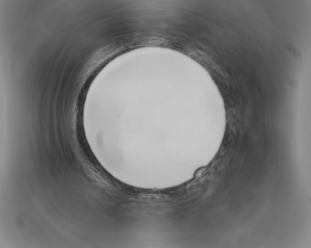 X0000110320242200906181829