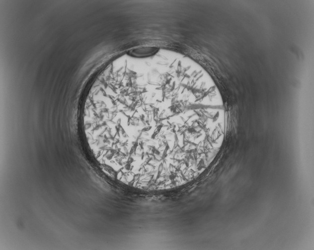 X0000110320243200906181829