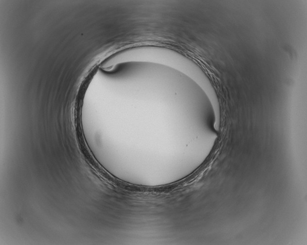 X0000110320244200906181829