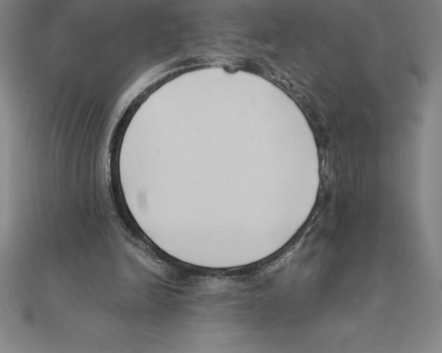 X0000110320246200906181829