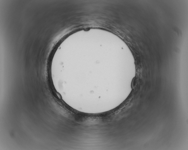 X0000110320248200906181829