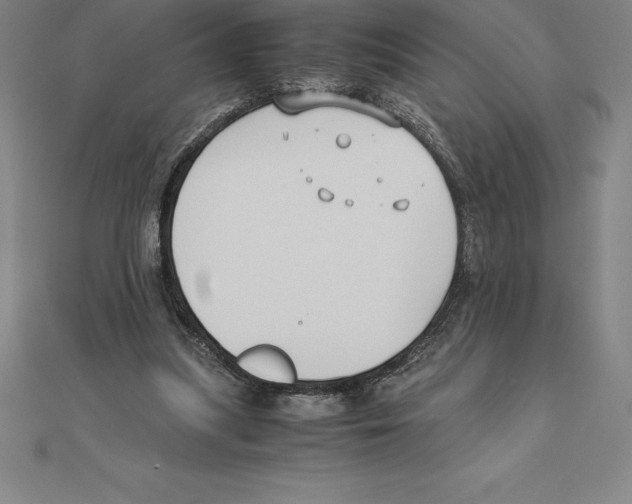 X0000110320251200906181829