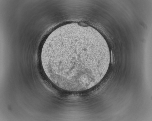 X0000110320252200906181829